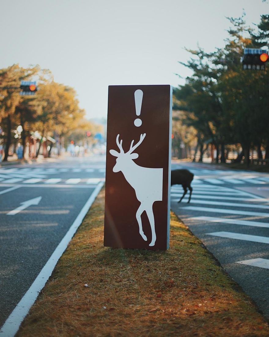 Nara, Japón