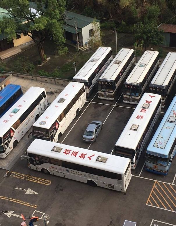 Tras Aparcar Como El Culo, Estos Autobuses Se Vengaron De él