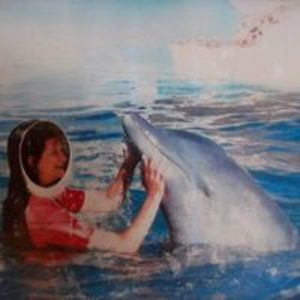 sonimarmor avatar