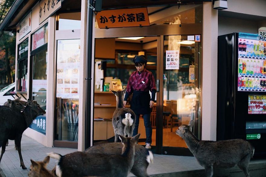 Nara, Japón