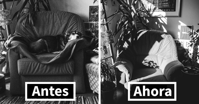 Esperaba fotografiar un milagro, pero solo capté el más duro adiós