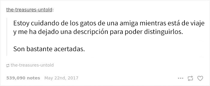 cuidagatos-1