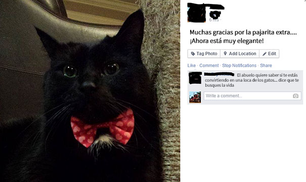 Disfruto De Mi Abuela En Facebook