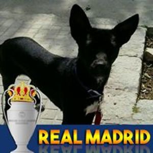 anarafacanbolleta avatar