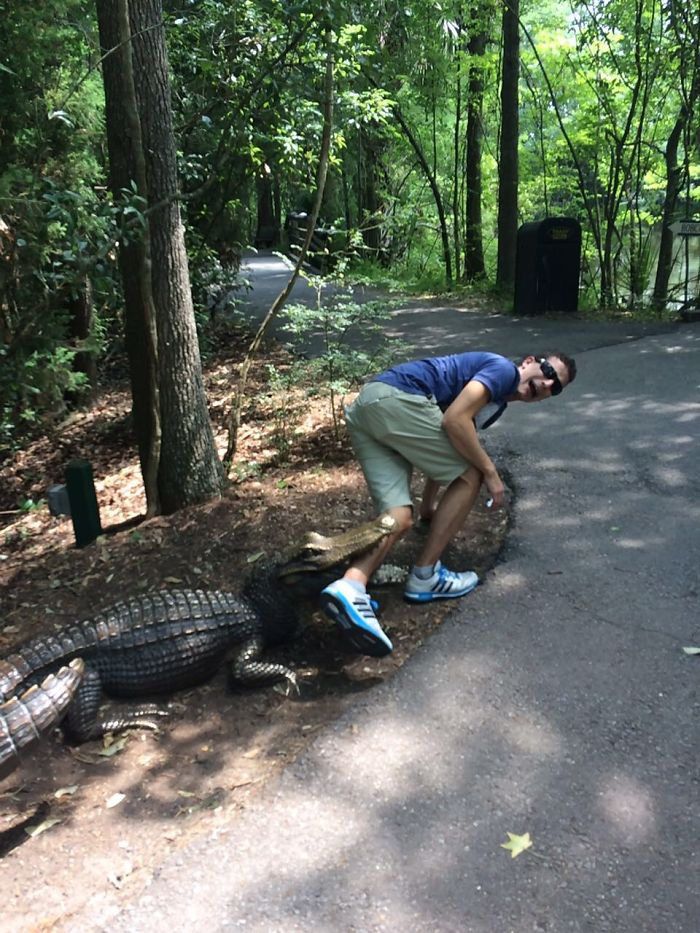 Zoo