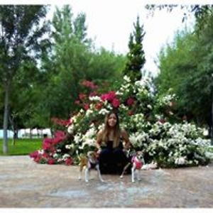 www_fanythebest avatar