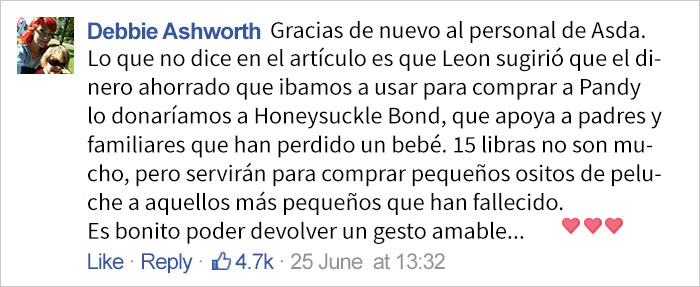 comprar-panda-leon-1