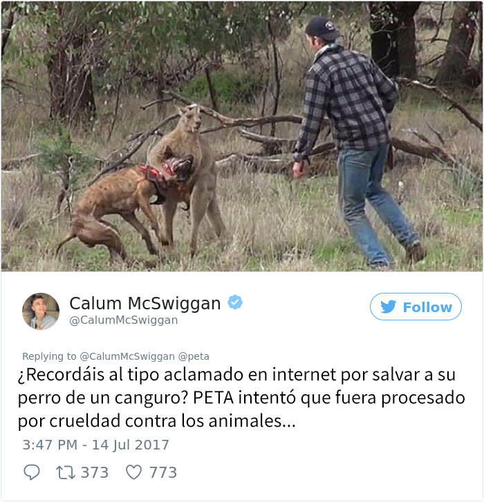 hilo-twitter-anti-peta-6