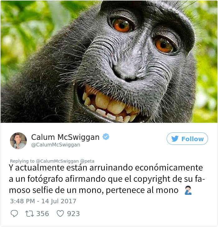 hilo-twitter-anti-peta-6b