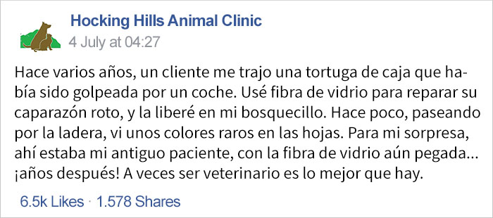 veterinario-paciente-tortuga-1