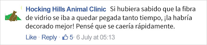 veterinario-paciente-tortuga-2