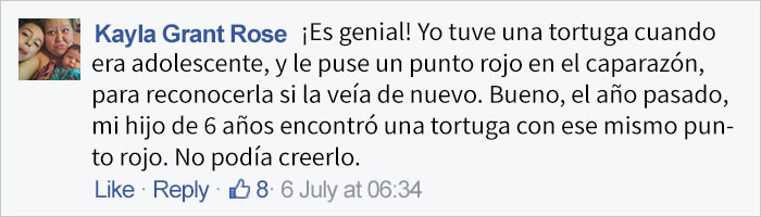 veterinario-paciente-tortuga-4