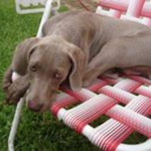 marisuolivera avatar