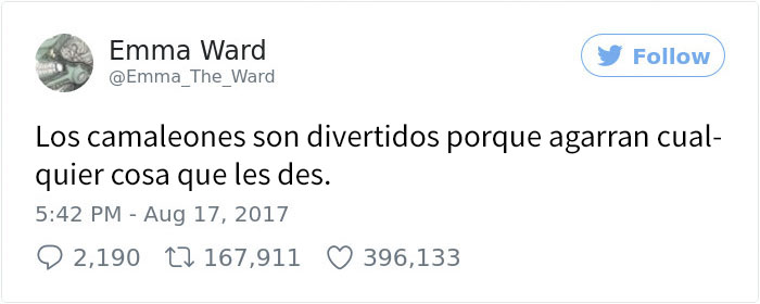 camaleones-1