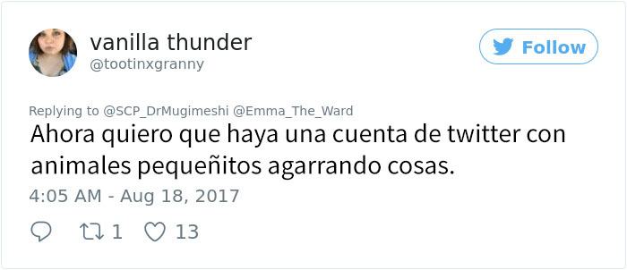 camaleones-5