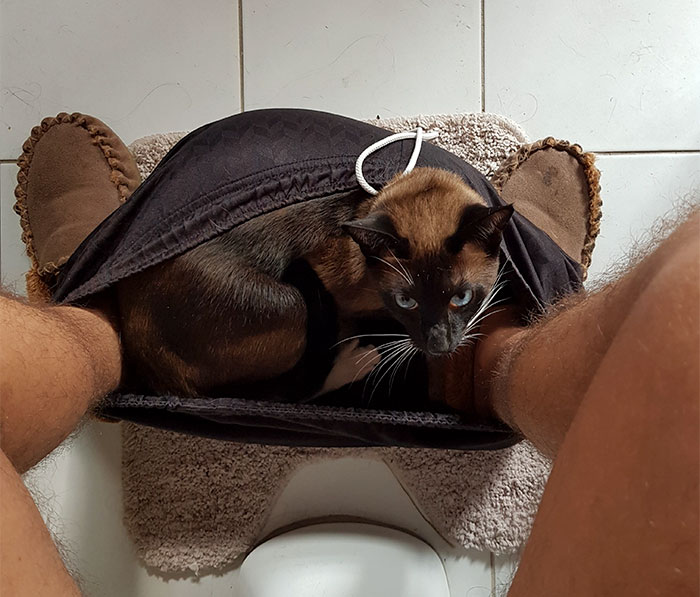 Yo También Me Siento, Pero Era Para Otra Cosa...