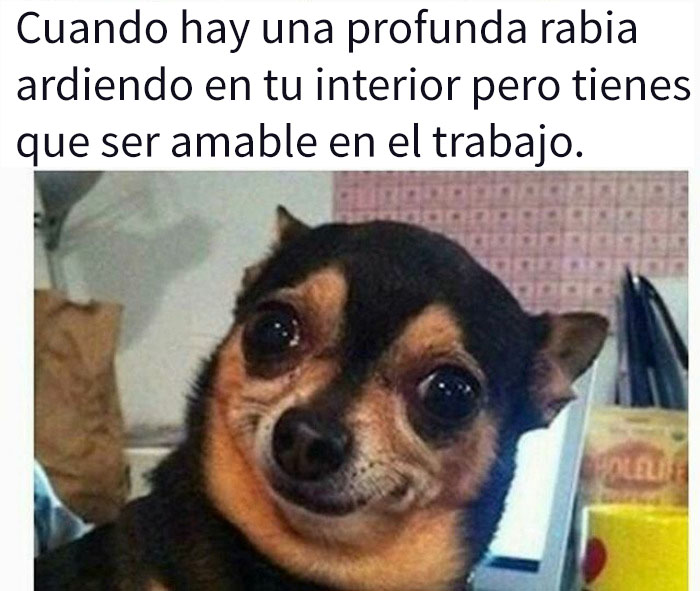 10 Divertidos Memes Sobre El Trabajo Que No Deberias Estar