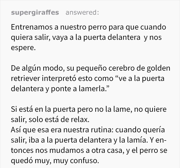 perro-confuso-1