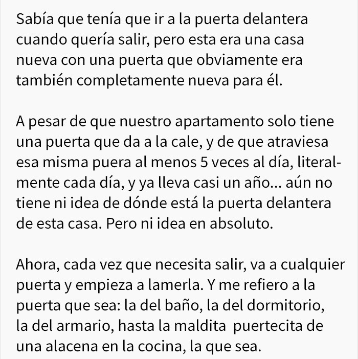perro-confuso-2