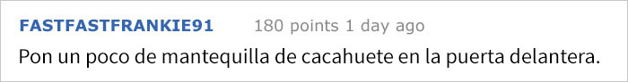 perro-confuso-5