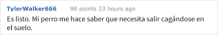 perro-confuso-6