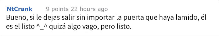perro-confuso-7