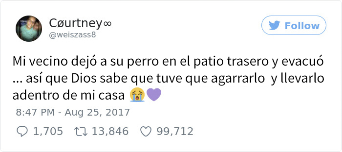 perro-inundacion-1