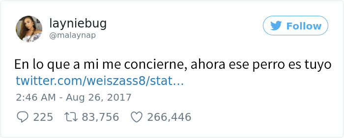 perro-inundacion-2