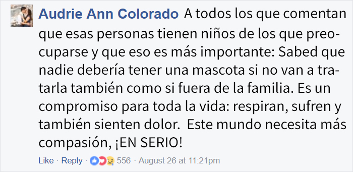 perro-inundacion-5