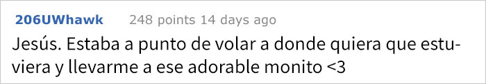 perrohogar-3