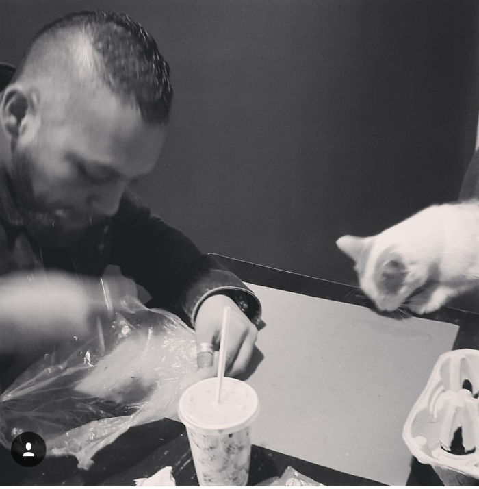 Mi Novio "odia" A Los Gatos...adivinen Quien Malascostumbro Al Nuestro A Comer En La Mesa...