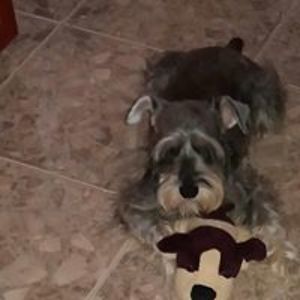 beticabea28 avatar