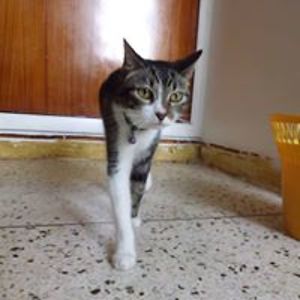 nenita_patty avatar