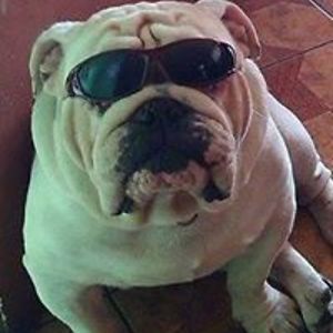 mmeloch avatar
