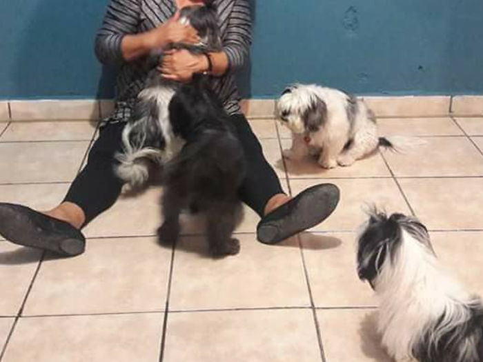 La Mamá, Las Hijas Y La Nieta En Ese Orden Están