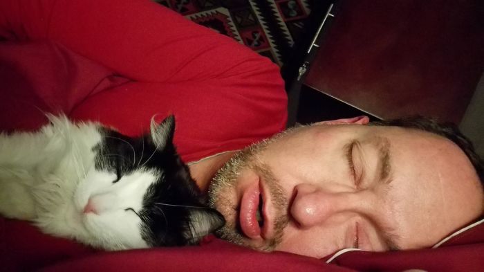 Cuando Empezamos A Salir Se Desilusionó Porque Yo Tenía Un Gato, Este Es él Ahora Con El Gato Que Rescató Y Trajo A Casa En Avión