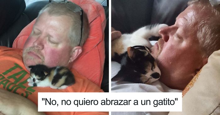 10+ Personas Que Dijeron Que No Querían Los Malditos Gatos