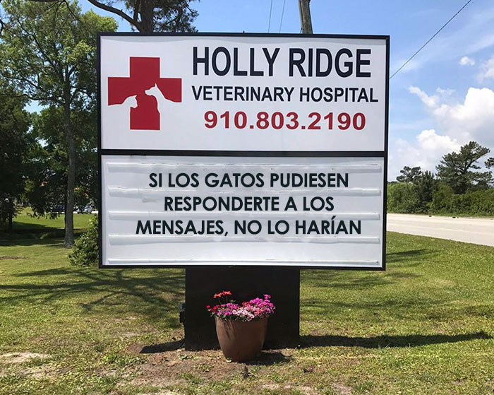 10+ Geniales Carteles De Veterinarios Que Te Harán Reír