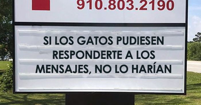 10+ Geniales Carteles De Veterinarios Que Te Harán Reír