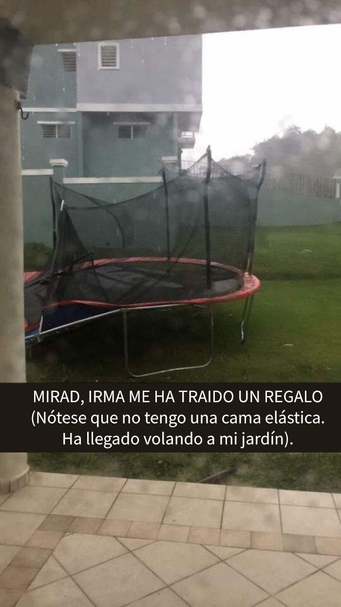 Gracias, Irma