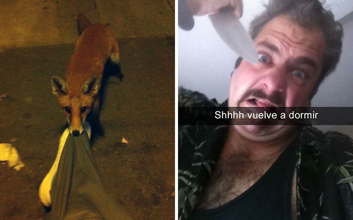 10+ De Los Momentos “Me Desperté Así” Más Divertidos Que Han Sucedido Nunca