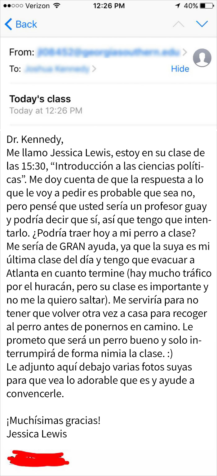 perro-clase-1