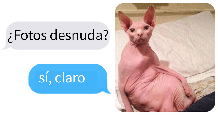 10+ Respuestas perfectas de mujeres a babosos