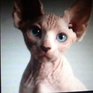 ciw360 avatar