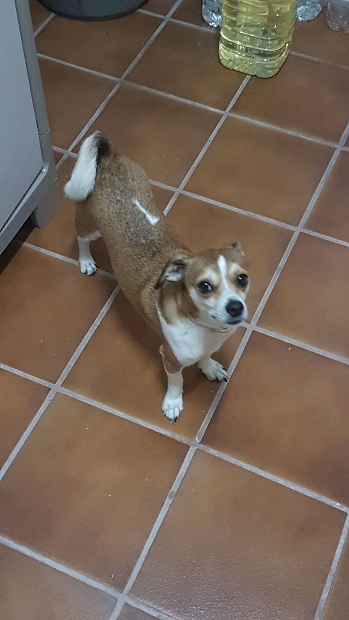 Su Carita Siempre De Yo No E Sido Jiji