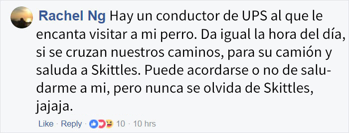 perros-ups-17