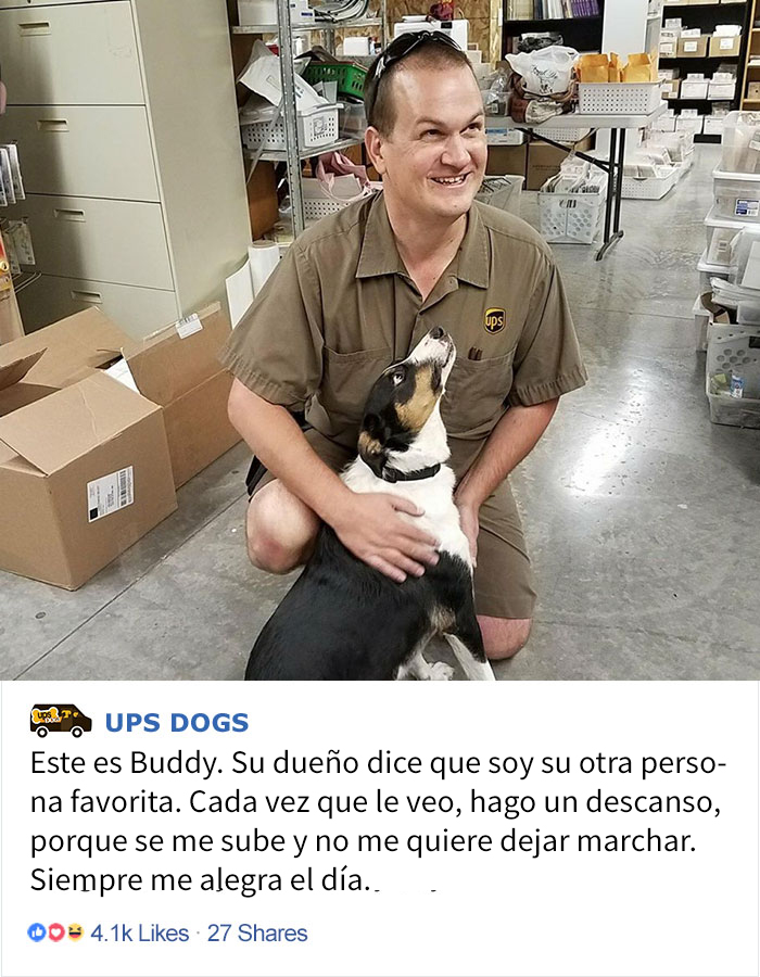perros-ups-7