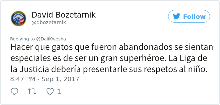 superheroe-gatos-4