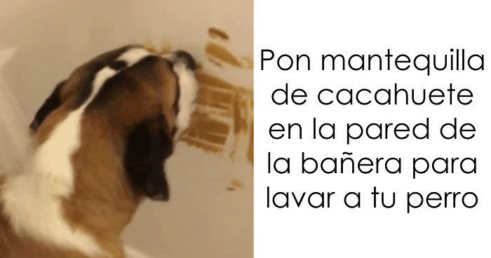 La gente comparte sus trucos más geniales y te sorprenderá que no se te hubieran ocurrido