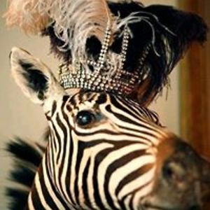 zhyo_jarjayez avatar